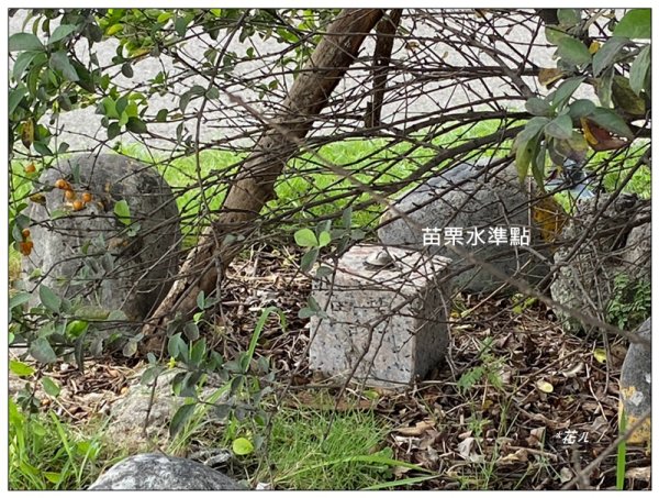 下太平山 (苗栗、卓蘭)2841400