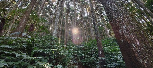 2025/12/06-光高天+南大龜+向天湖+三角湖山2957696