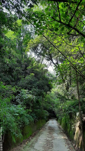 《彰化》登山禮佛｜松柏嶺登廟步道及坑內坑森林步道O型202307152219587