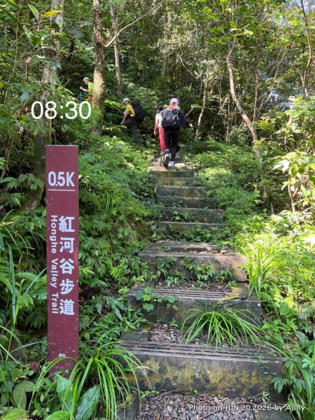 輕鬆的森林浴步道——紅河谷步道3076851