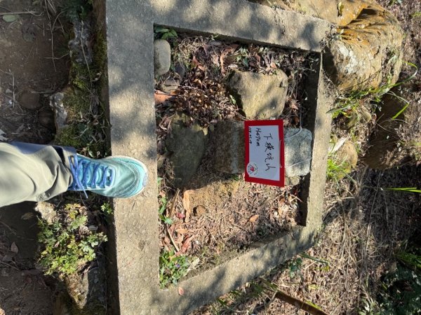 20260221 飛沙新路3003424