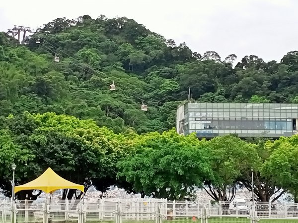 【臺北大縱走 8】捷運動物園站→捷運關渡站［河濱自行車道］2131132