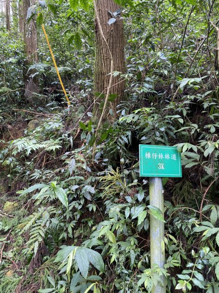 竹崙山志騰山3065560