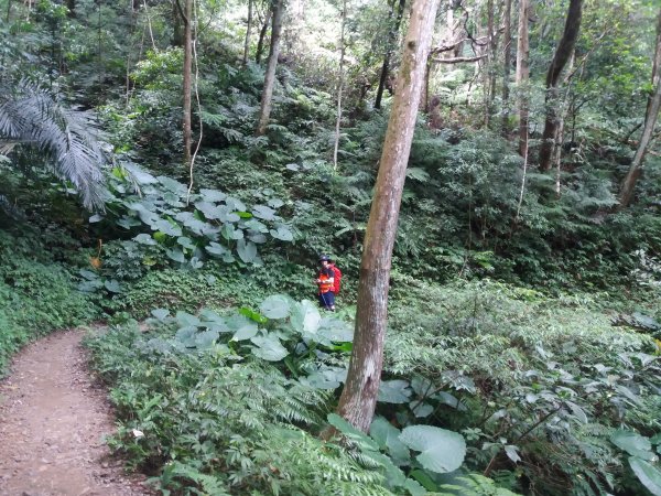 108.08.17 三峽  雲森瀑布654719