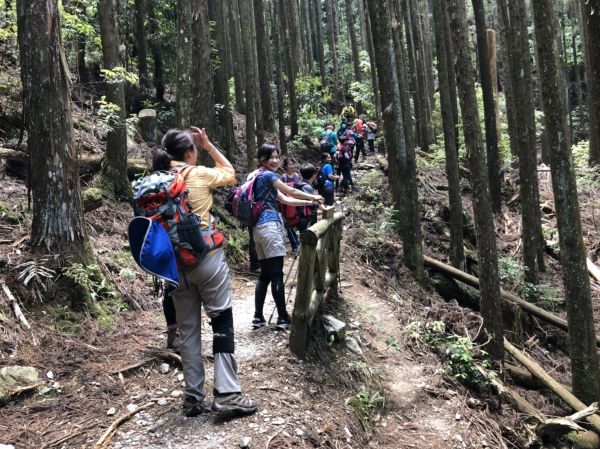 馬崙山~走不完感覺的五星級森林步道337039