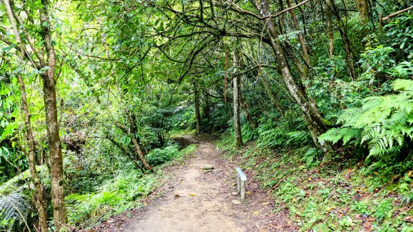 三貂嶺瀑布群,野人谷瀑布群2832472