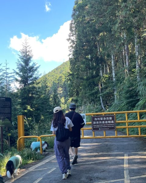 尖石🌳羅山林道野營-油羅山-竹苗小百岳3133059