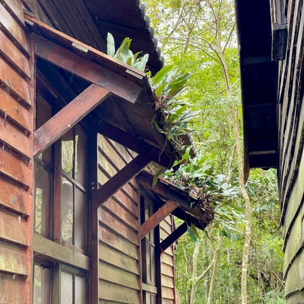 20241221 霞喀羅二天一夜露營賞楓2711952