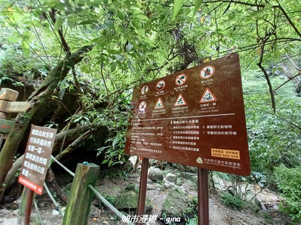 【花蓮】 楓林步道好視野x撒固兒步道、撒固兒瀑布超沁涼2247903