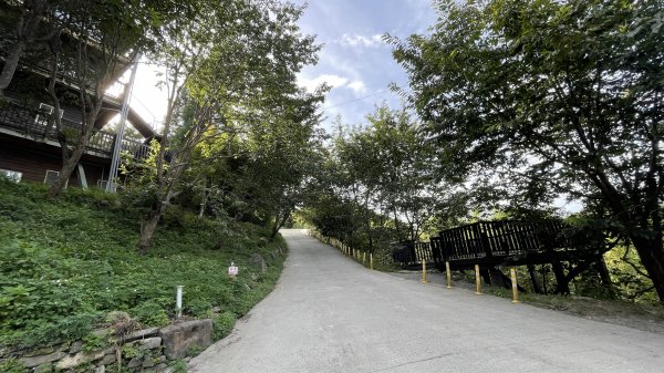 走入清晨19度c的上帝部落>>司馬庫斯(巨木群步道)1767401