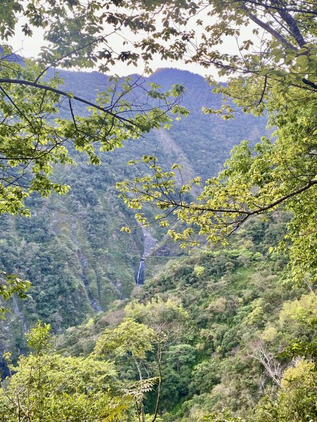 小鬼湖林道登亞泥笛山    2022/2/251622543