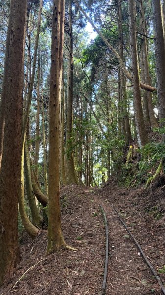 加里山東南峰2845052
