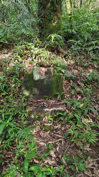 淡蘭古道中路2532761