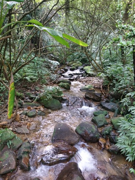 泰安瀑布-姜子寮山步道821749