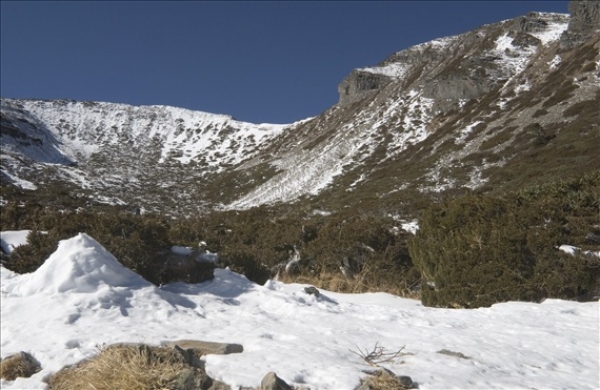 【新聞】雪山迷路凍3天 靠打火機 曼陀珠活命