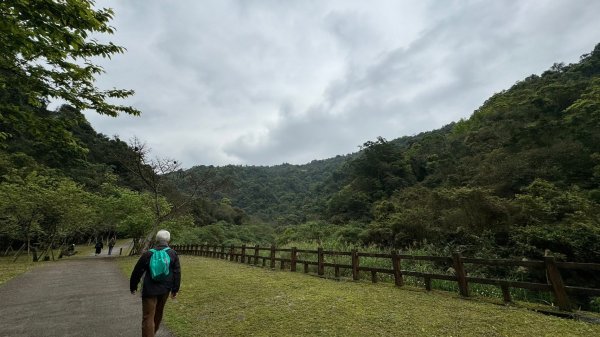 宜蘭九寮溪生態遊憩區-自然步道2451579