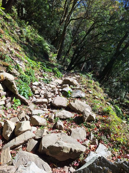 石山引水道202512112959538