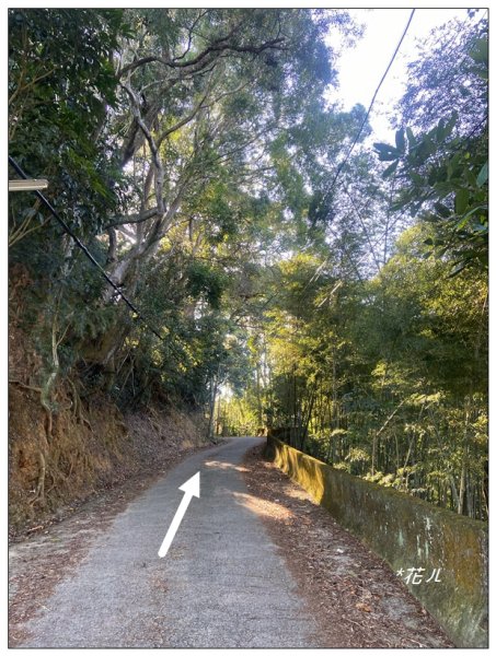 逐鹿古道、雨社山(南投、魚池)2667412