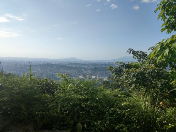 貓空隨意行［樟湖步道、待老坑山、杏花林、明德宮、樟山寺］及政大小坑溪親水文學步道(2021/4/6)1417891