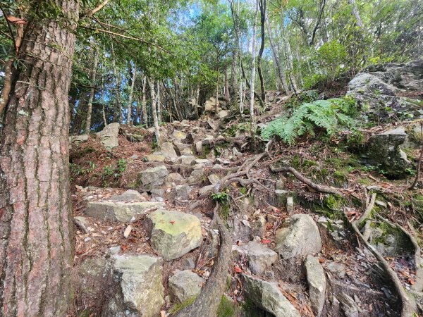 20250831鳶嘴稍來2928603