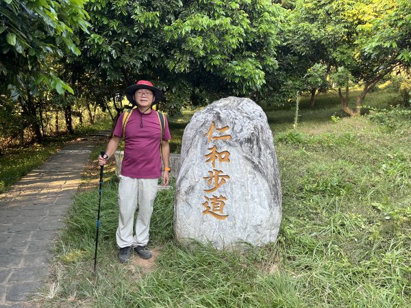 2022_0723_鵝公髻山, 獅尾山, 獅山古道, 仁和步道與金獅古道1998007