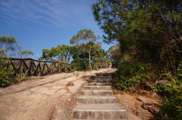 軍艦岩、丹鳳山親山步道1986005