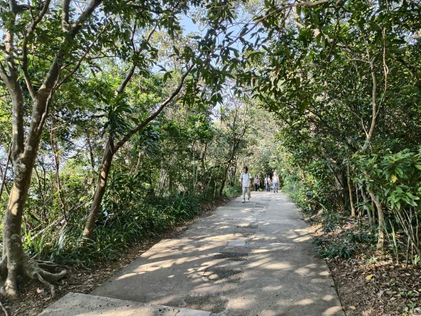 [百山百鳥尋旅-14/15] 2025_0929 劍潭山親山步道2900899