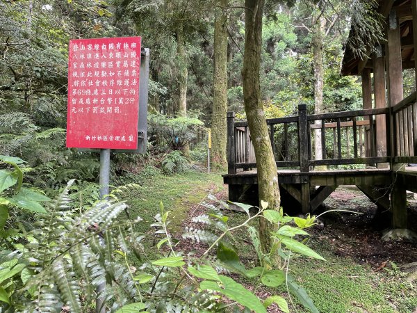 志繼山-東眼山-拉卡山-東滿步道-卡外山1706017