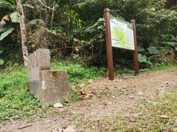 步道巡訪員 l 鳥嘴山步道11月巡訪日誌1161272