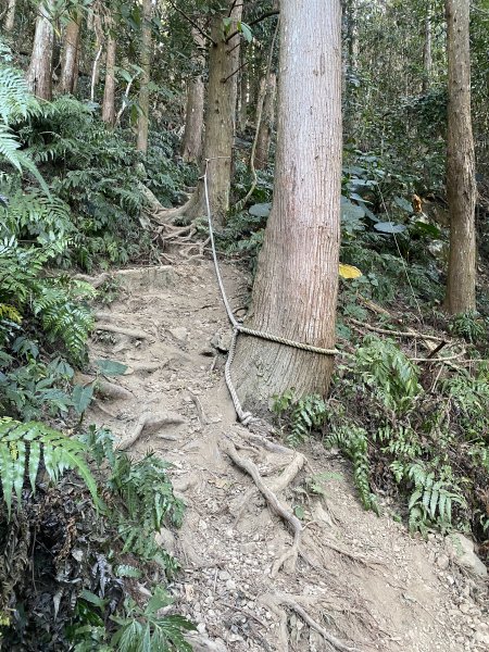 1111120泰安鄉鳥嘴山2672982