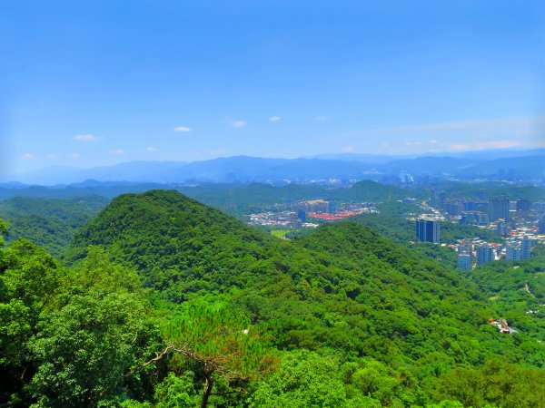 搭著捷運去旅行-白石湖賞花輕旅行610481