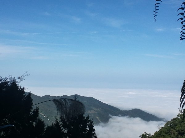 溪頭鳳凰山步道803677