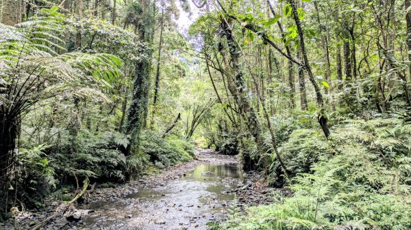 坪溪古道,石空古道2873478