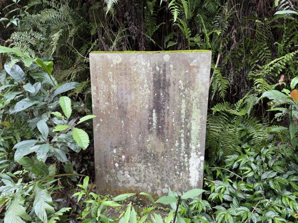 [微笑山線_第四段] 2026_0321 天上山系_天上山3020980