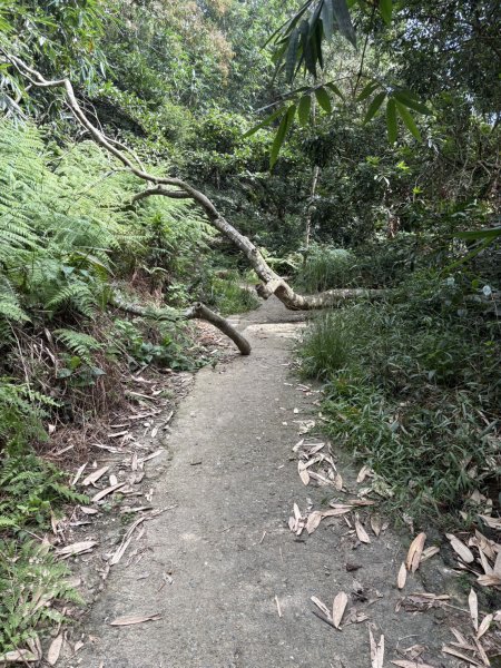 20251018台南 崁馬鞍部啟登崁頭山2920732