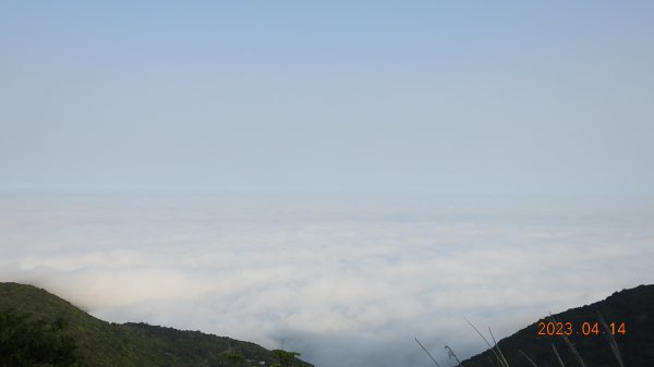 邂逅江湖傳說已久鐘萼木(據說冰河孓遺植物)，再見差強人意的月光/日出雲海2112146