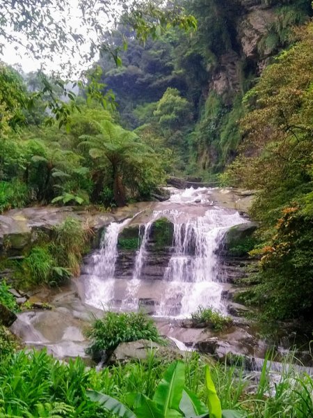 姜子寮山（小百岳）、旗尾崙山O走917219