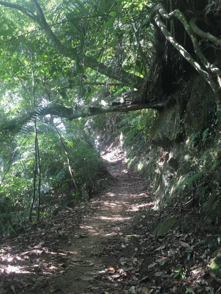 獅山古道、六寮古道、獅頭山o走1924312