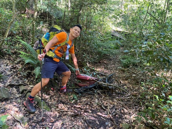 雙龍林道-巒安堂-西巒大山【一切都很美好 除了肩膀之外】2567817