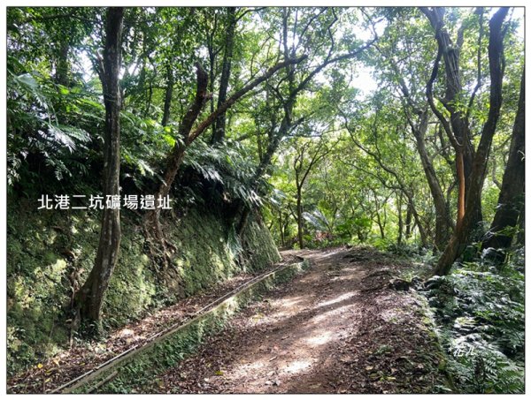 金龍湖、鷹石尖、老鷲尖、內溝山 O型一圈2966667