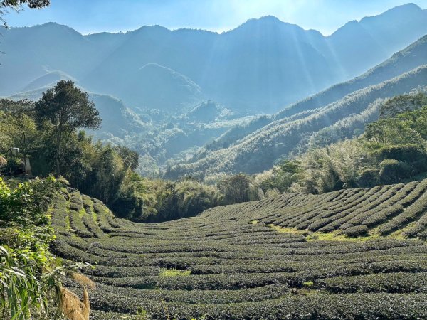 溪頭六連峰O繞2741776