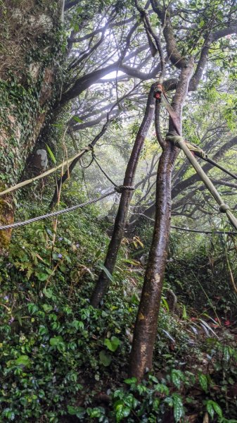 小觀音山西西峰 - 西峰 - 北峰935484