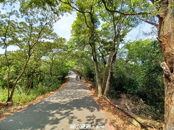 【彰化員林】員林百果山上最具人氣的休閒步道。 台灣百大必訪步道。 藤山步道1689479
