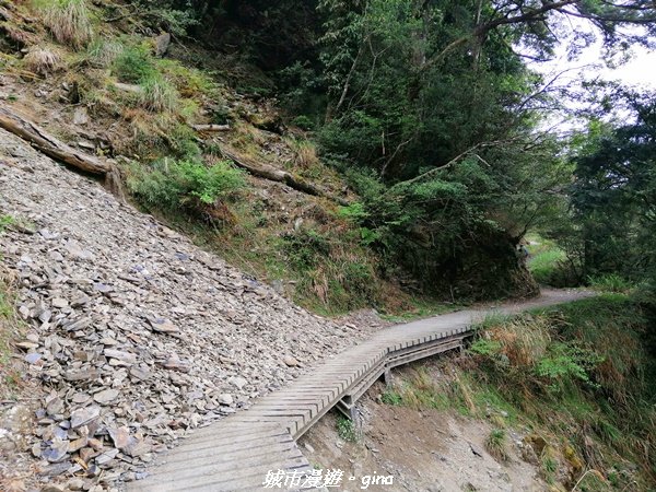 【南投。仁愛】走一段悠悠歷史的能高越嶺道x 入住台灣百岳的五星級天池山屋1376672