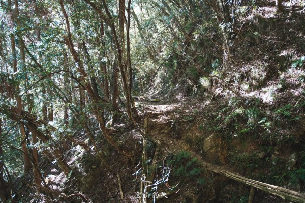 霞山鐵道野營2843085