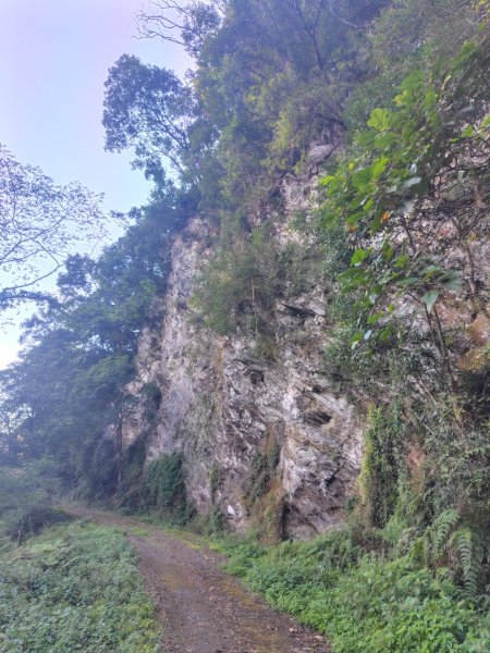 多納六秀 京大山2957574