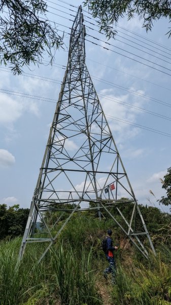112.04.04王公坑山-烏塗窟山之開滿血藤花2120594