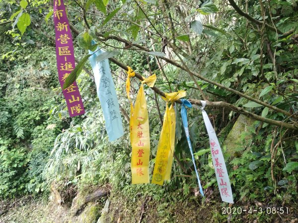 步道巡訪員│石夢谷步道3月巡訪日誌902226