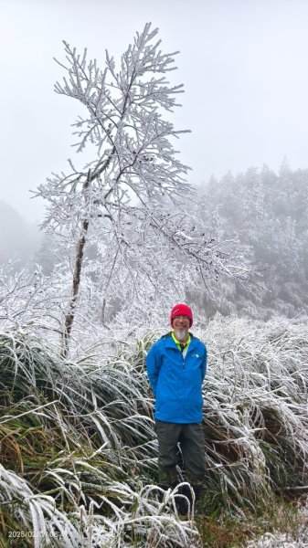 我的2025 第三場雪 #翠峰湖步道 #望洋山 #金翼白眉  2/92708849