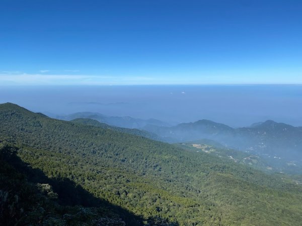 苗栗_大坪出發~杜鵑嶺/加里山1485800